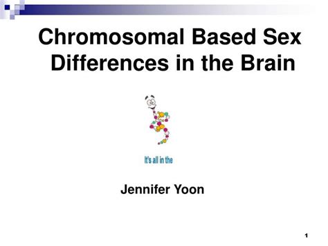 Ppt Chromosomal Based Sex Differences In The Brain Powerpoint