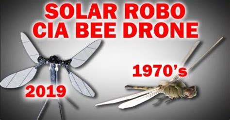 solar robo bees   cia dragonfly drone activist post