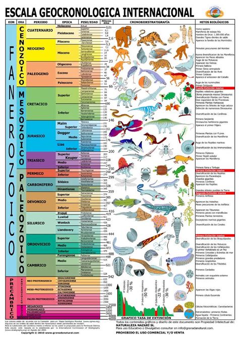 ciencias de la tierra    ocurrio en el paleozoico