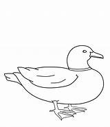 Duck Coloring Pages Kids Printable Mallard Wood Line Print Drawing Ducks Template Drawings Colouring Color Bestcoloringpagesforkids Outline Draw Things Sheets sketch template