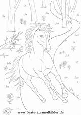 Ausmalbilder Pferde Pferd Malvorlagen Ostwind Ausmalen Wald Erwachsene Zeichnen Maske Horse sketch template