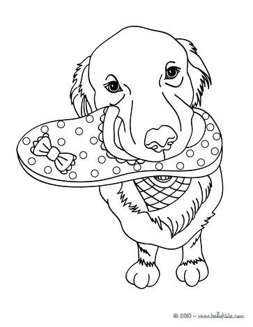 golden lab coloring pages coloring pages