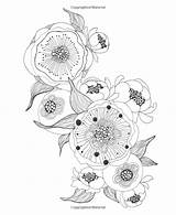 Coloring Botanical Adult Wonderland Pages Colouring Retreat Blissful Flower Book Printable Amazon Color Books Plant Drawing Drawings sketch template