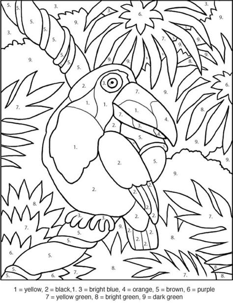toucan coloring pages coloring home
