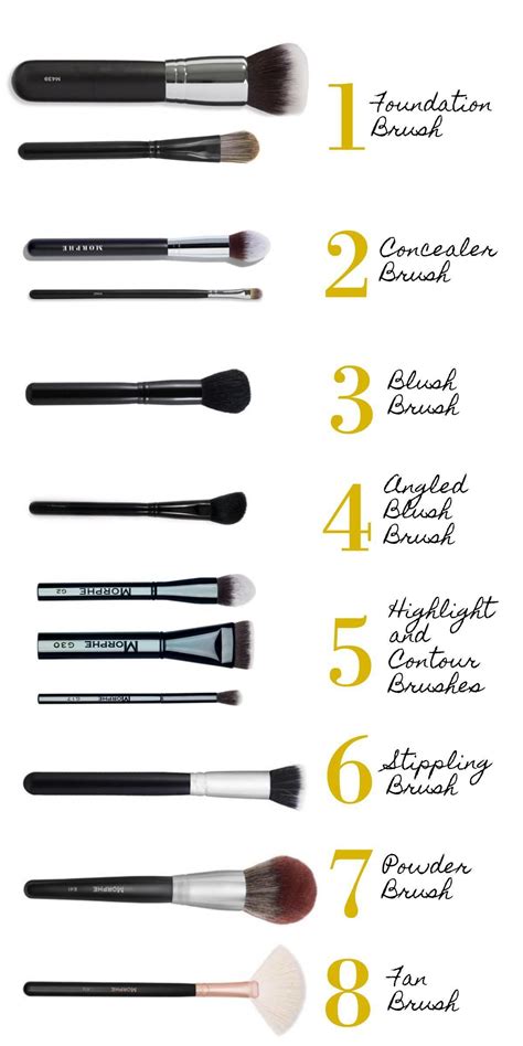 back to the basics makeup brush guide for all beginners