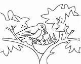 Coloring Pages Birds Baby Bird Nest Kids Tree Outline Feeding Mommy Printable Drawing Lives Cartoon Funny Fun Sheet Colouring Color sketch template