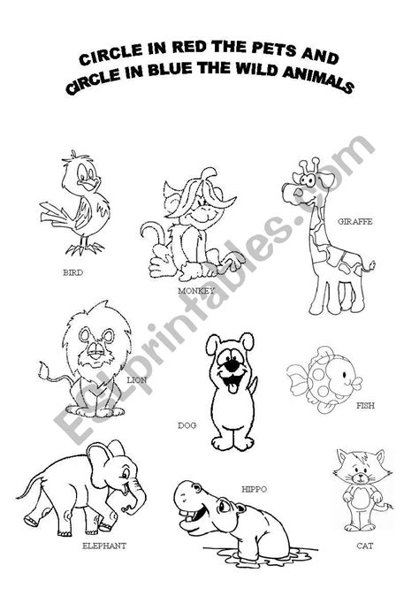 wild animals  pets esl worksheet  prihcosta