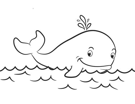 whale coloring pages  worksheets