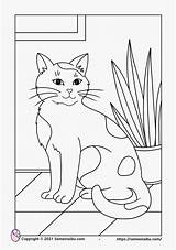 Mewarnai Hewan Kucing Tk sketch template