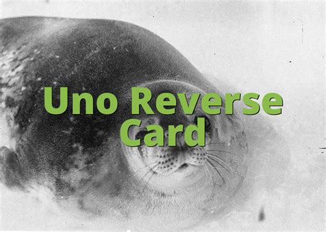 uno reverse card   uno reverse card  slangorg