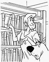 Library Coloring sketch template