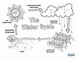 Water Cycle Corn Coloring Sheet Grow Growing Unit sketch template