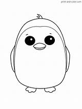 Adopt Penguin sketch template