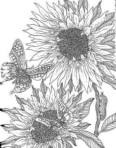 printable sunflower coloring pages check   http