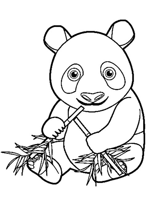 coloring  panda eating bamboo pandas kids coloring pages