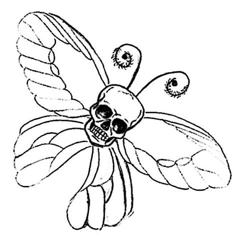 skull butterfly tattoo  dvampyrelestat  deviantart