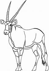 Antelope Gemsbok Oryx Clipartmag Walking Cartoon Wecoloringpage sketch template