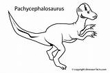 Pachycephalosaurus Dinossauro Dinosaure Colorir Coloriage Animaux Dinosaurs Triceratops Brontosaurus Pritnable Tudodesenhos Coloriages Olphreunion Freekidscoloringpage 1526 sketch template