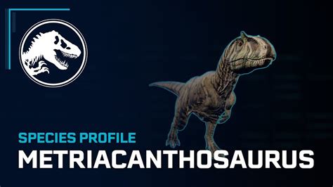 Species Profile Metriacanthosaurus Jurassic Park Film Jurassic