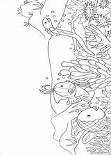 Zee Kleurplaat Mooiste Arcobaleno Pesce Regenbogenfisch Colorare Colorat Coloring Arcoiris Pez Pesci Guizzino Peixe Curcubeu Desene Storia Imagini Nature Disegni sketch template