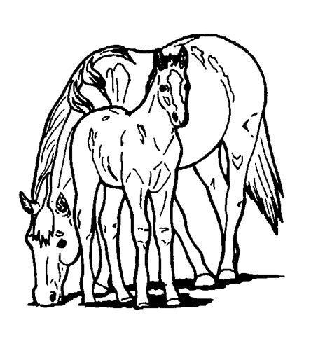 horse printables   horse printables png images