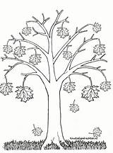 Herfst Kleurplaten Bomen Tekeningen Herfstboom Seizoenen Knutselopdrachten sketch template