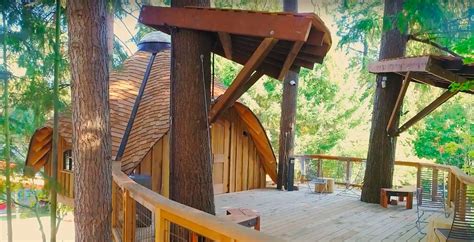 Microsoft Employees Are Now Able To Work From Treehouses