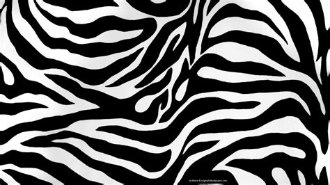 zebra print the ultimate guide