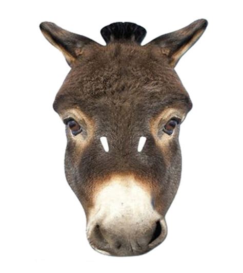 donkey animal card party face mask  stock    uk delivery