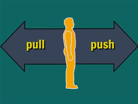 alpha lifestyle push pull theory