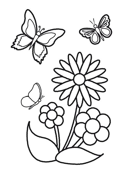 drawings  flowers  butterflies clipart