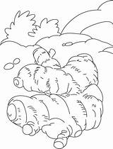 Ginger Coloring Pages Rhizome Kids Getdrawings sketch template