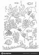 Mer Marino Fondale Seaweed Draw Vettoriali sketch template