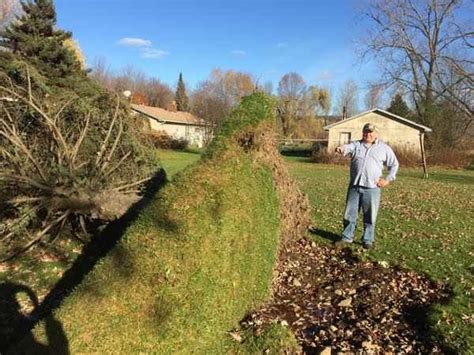 sudden microburst  damage  rome  york state earth