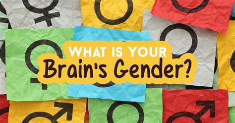 What Is Your Brains Gender Quiz