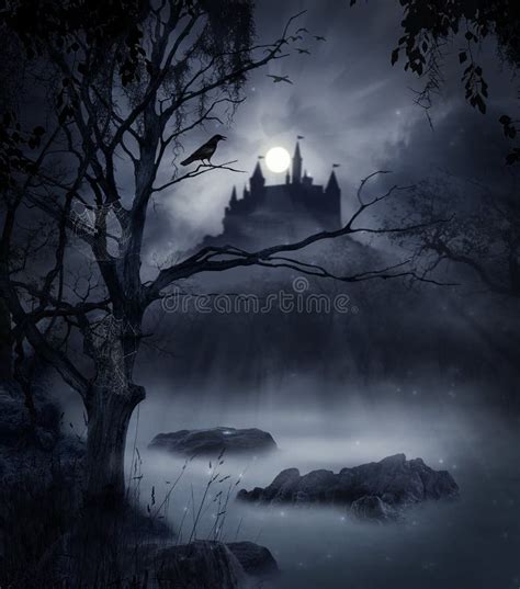 dark scene stock photo image  swamp rocks castle
