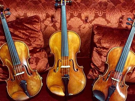 viola   happy     instrument   family