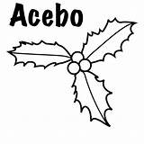 Acebo sketch template