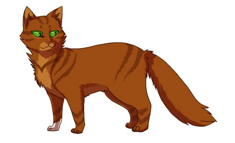 brown cat  green eyes standing  front   white background