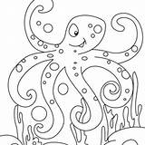 Ringed Octopus Blue Coloring 49kb 300px sketch template