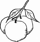 Jeruk Mewarnai Sayuran Cabai sketch template
