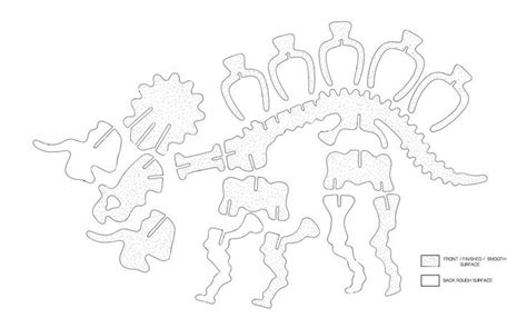 dinosaur skeleton  holder puzzle dinosaur skeleton  holders