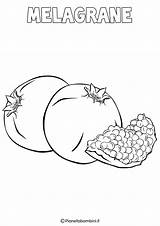 Colorare Frutta Invernale Pianetabambini Disegno Melagrane Cachi Frutti Autunno Oip Arancia sketch template
