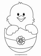 Easter Coloring Chicks sketch template