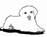 Outline Coloring Puppy Dog Popular Coloringhome Comments sketch template