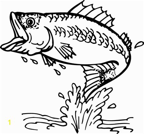 bass fish coloring pages divyajanan