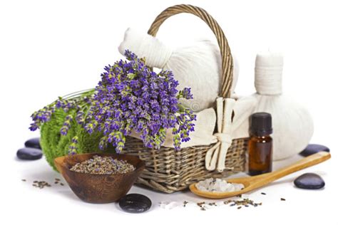 lavender spa stock image image  basket pebbles leaf