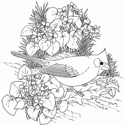 nature  printable coloring pages  adults advanced
