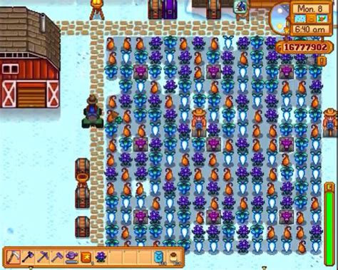 find crystal fruit  stardew valley locations