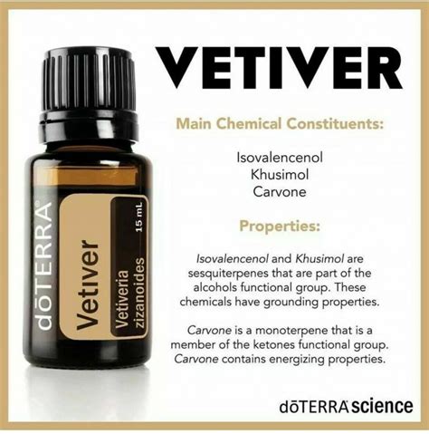 Doterra Vetiver Essential Oils Helps With Anxiety And Calming Rover Gold